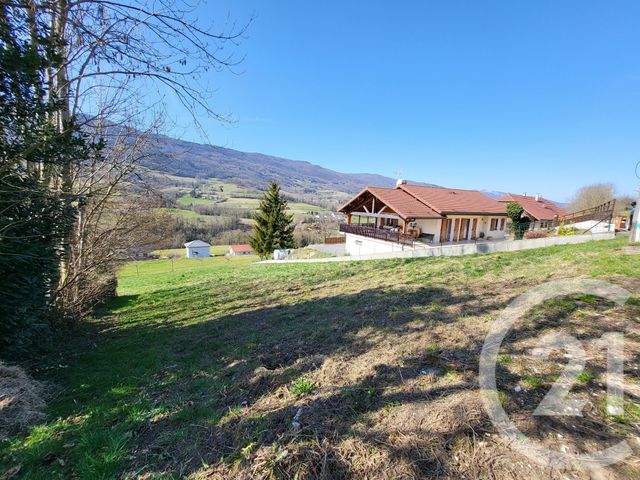 terrain - MOYE - 74