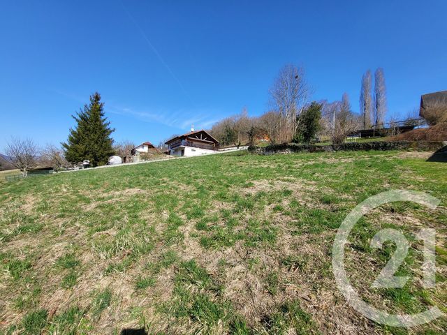 terrain à vendre - 1522.0 m2 - MOYE - 74 - RHONE-ALPES - Century 21 Confiance Services
