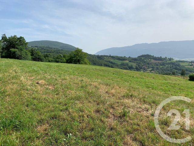 terrain à vendre - 980.0 m2 - DESINGY - 74 - RHONE-ALPES - Century 21 Confiance Services