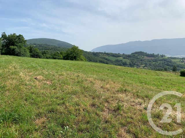 Terrain à vendre DESINGY